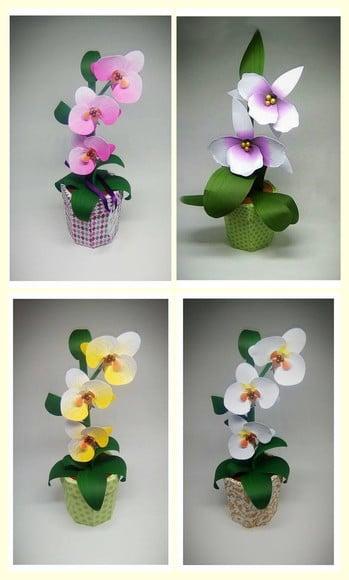 Arquivo de Corte Caixa Orquídea Studio