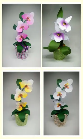 Arquivo de Corte Caixa Orquídea Studio