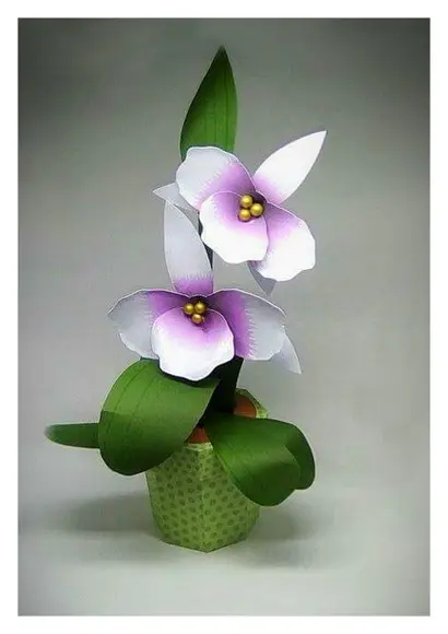Arquivo de Corte Caixa Orquídea Studio