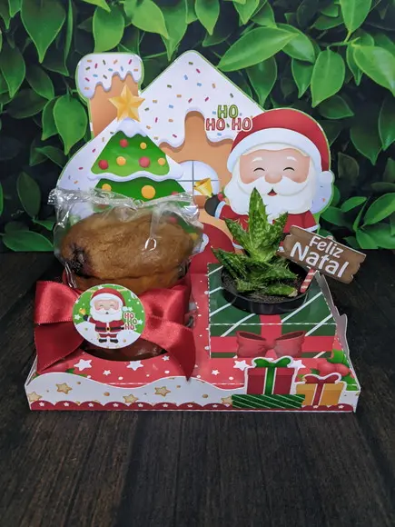 Arquivo de Corte Natal *studio/pdf