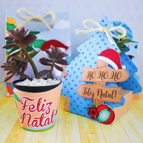 Arquivo de corte Natal Tropical *Studio/PDF/SVG*