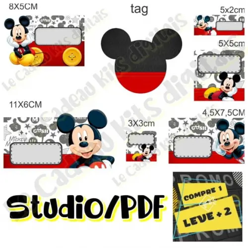 Arquivo Etiqueta Escolar Mickey