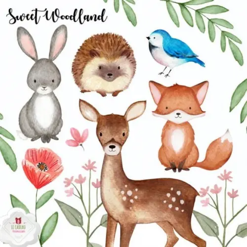 Kit Digital Animais da Floresta