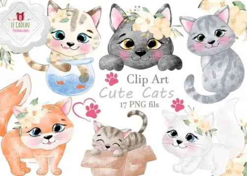 Kit Digital Gato filhotes