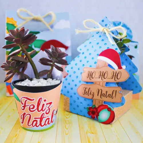 Arquivo de corte Natal Tropical *Studio/PDF/SVG*