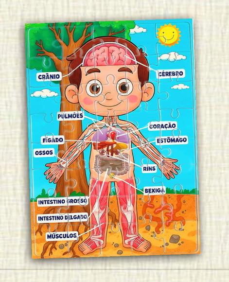Quebra Cabeça Corpo Humano Entrega Rápida