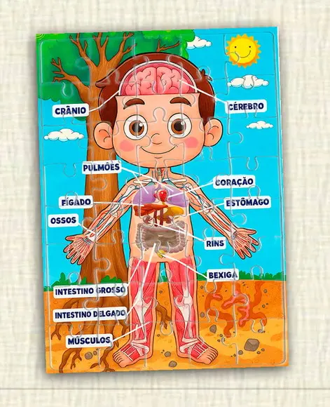 Quebra Cabeça Corpo Humano
