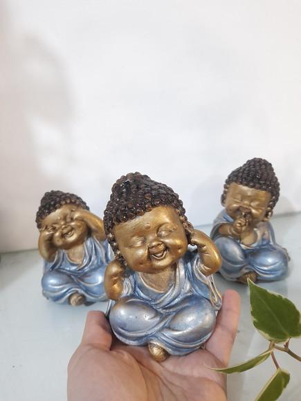 Trio de Budinhas Sábios