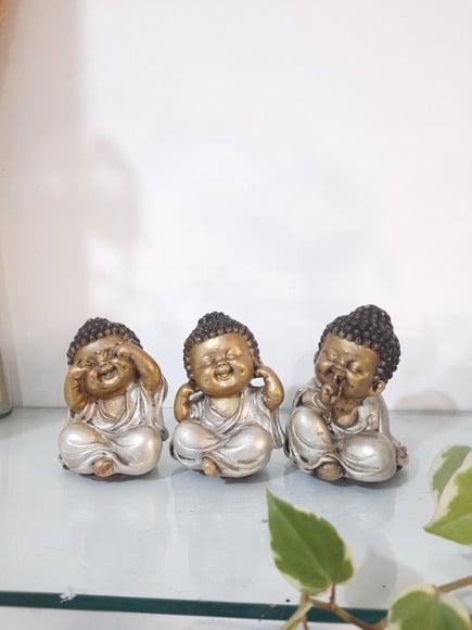 Trio de Budinhas Sábios