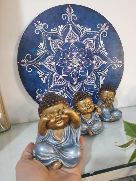 Trio de Budinhas Sábios