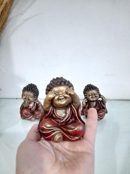 Trio de Budinhas Sábios