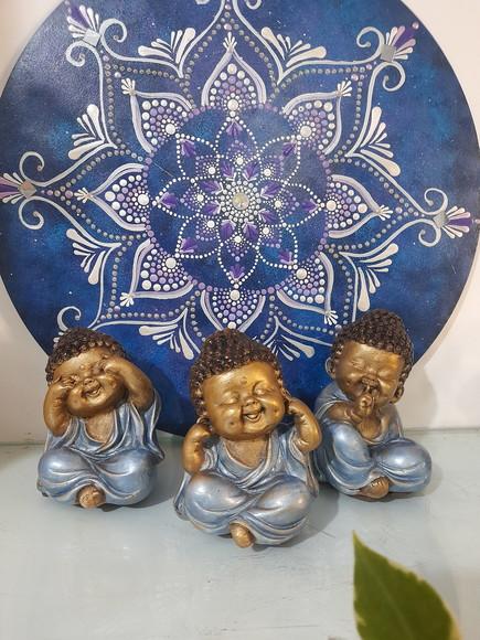 Trio de Budinhas Sábios