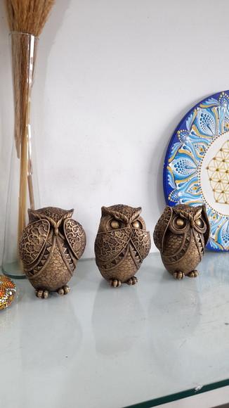 Trio de Corujas Sábias
