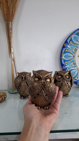Trio de Corujas Sábias