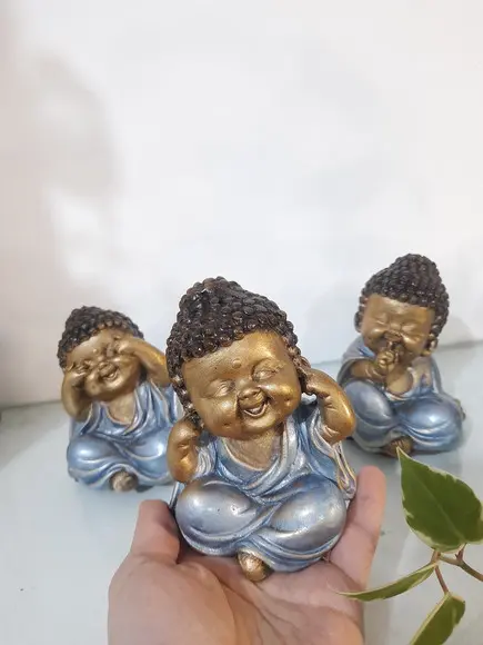 Trio de Budinhas Sábios