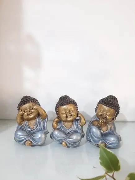 Trio de Budinhas Sábios
