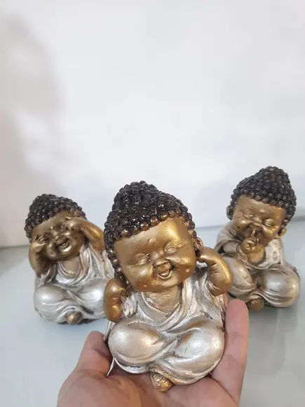 Trio de Budinhas Sábios