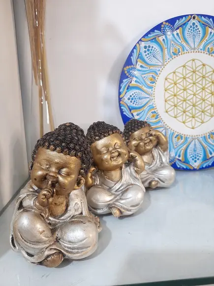 Trio de Budinhas Sábios
