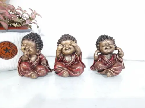 Trio de Budinhas Sábios