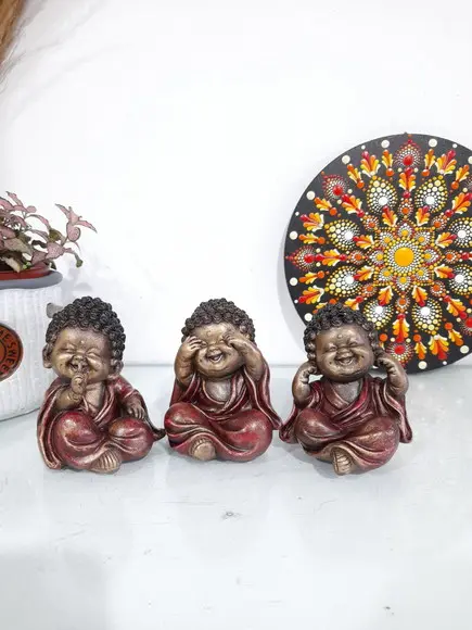 Trio de Budinhas Sábios