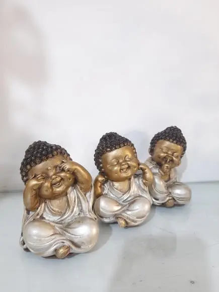 Trio de Budinhas Sábios