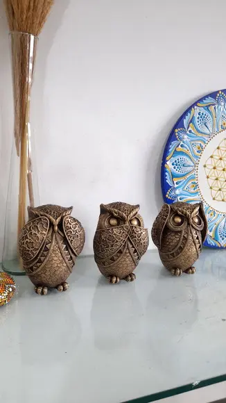 Trio de Corujas Sábias