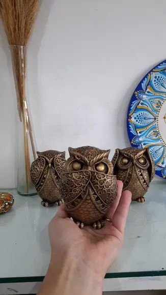 Trio de Corujas Sábias