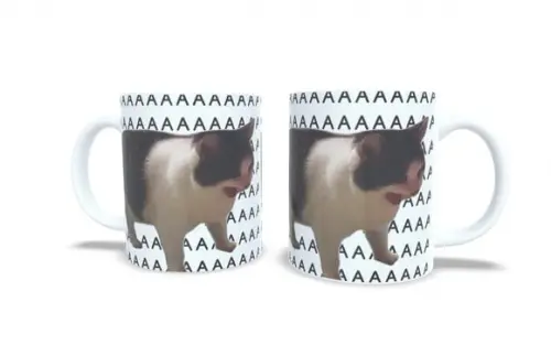 Caneca Gato Gritando Aaaa Meme Gatinho Gritando