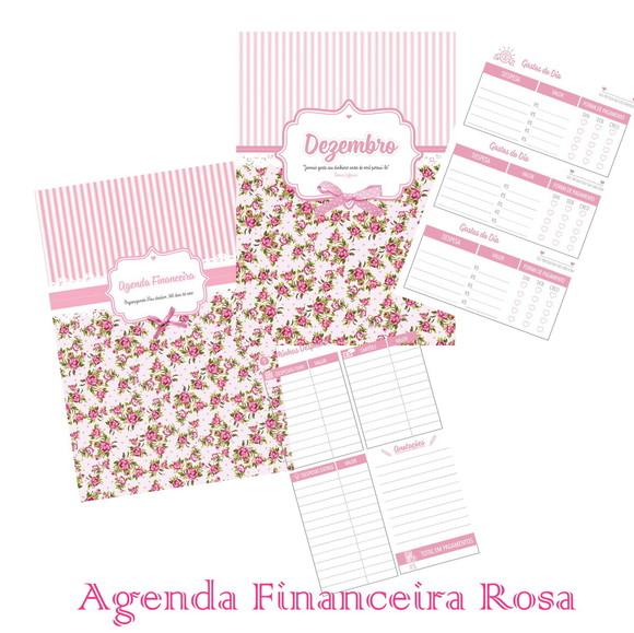 Arquivo de corte Agenda financeira rosa PDF+14 ARQUIVOS