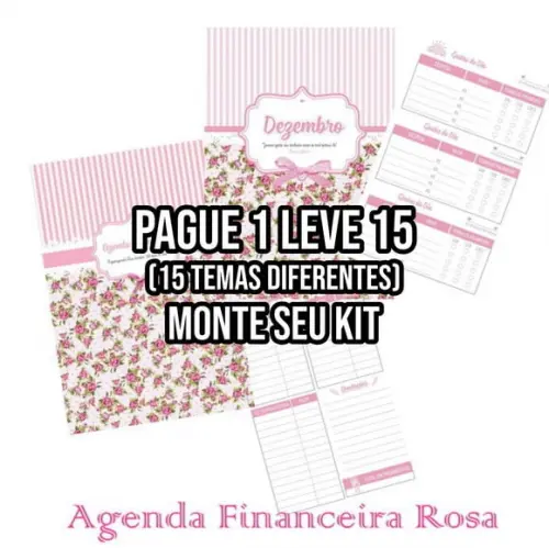 Arquivo de corte Agenda financeira rosa PDF+14 ARQUIVOS