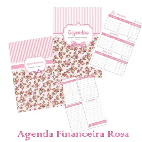 Arquivo de corte Agenda financeira rosa PDF+14 ARQUIVOS