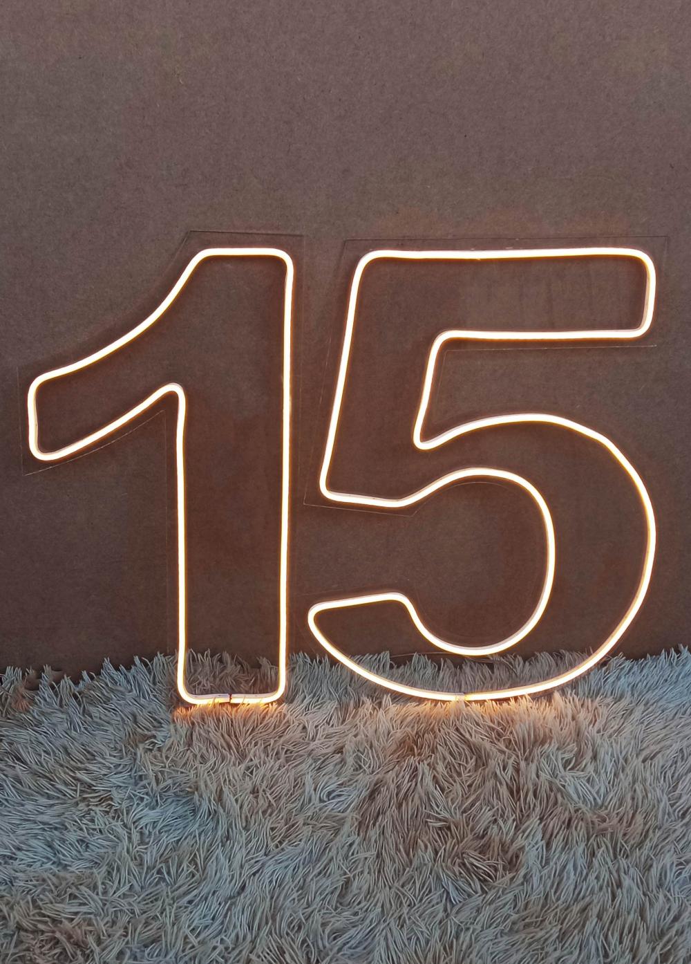 Número Neon Led 50cm