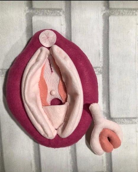 Kit Educativo Vulva + Clítoris Feminino