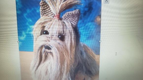 receita amigurumi CACHORRO YORKSHIRE TERRIER