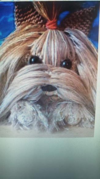 receita amigurumi CACHORRO YORKSHIRE TERRIER