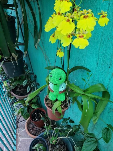 Receita de Amigurumi Tartaruga Tradução