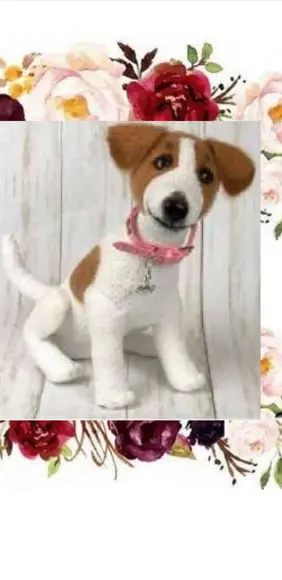 receita amigurumi CACHORRO (11) tradução