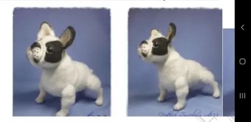 Receita Amigurumi Cachorro (7) Tradução