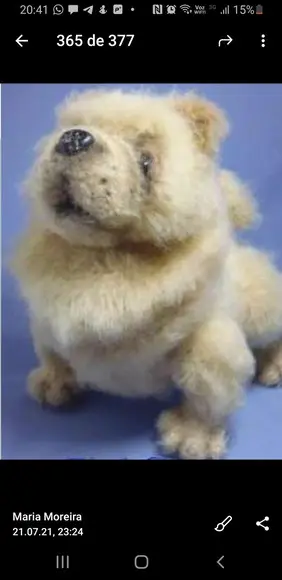 receita amigurumi CACHORRO (8) trad