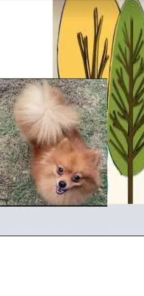 Receita Amigurumi Cachorro (9) Tradução