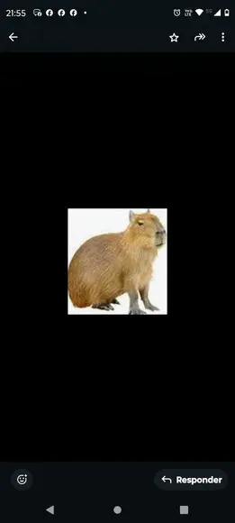 Receita Amigurumi Capivara