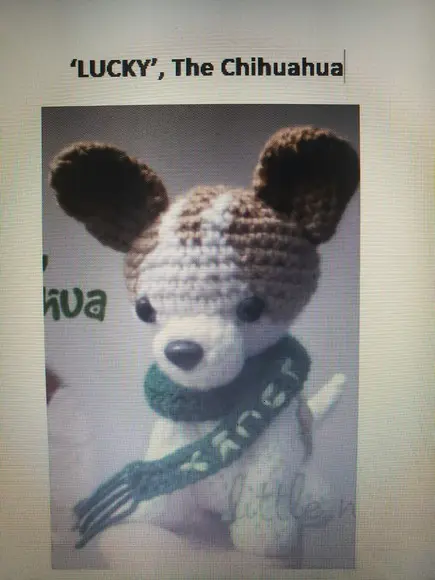 Receita de Amigurumi Cachorro Chihuiauha Tradução