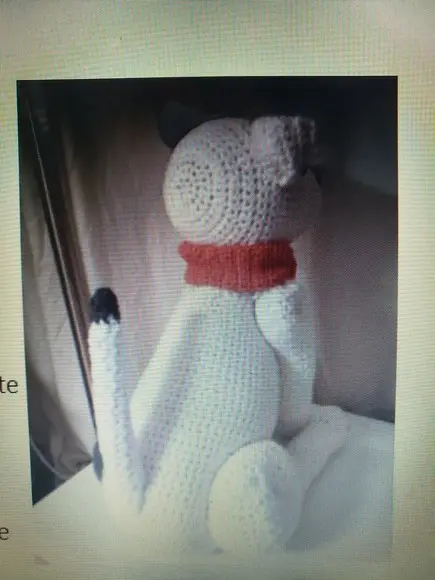 Receita De Amigurumi Pitbull Terrier Tradução
