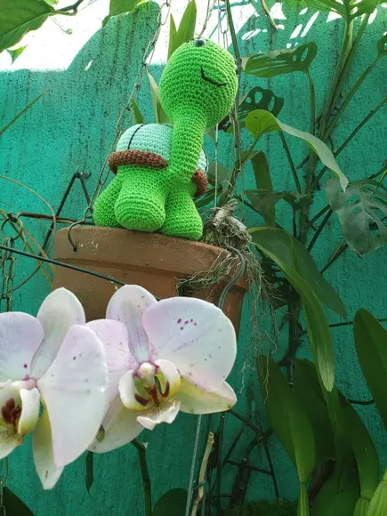 Receita de Amigurumi Tartaruga Tradução
