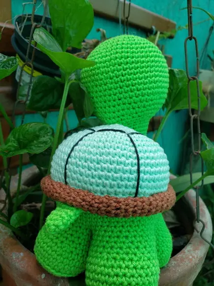 Receita de Amigurumi Tartaruga Tradução