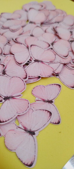 Borboletas Rosa Sortidas - Kit 20 Borboletas