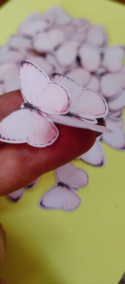 Borboletas Rosa Sortidas - Kit 20 Borboletas