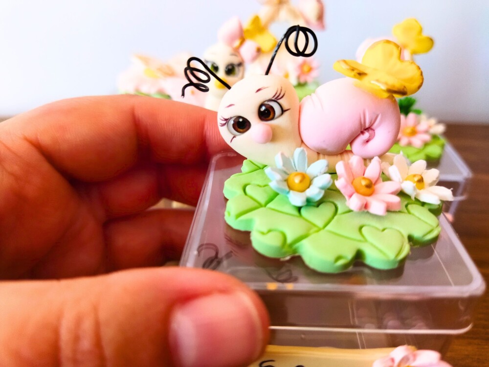 10 caixinhas personalizadas jardim encantado biscuit 5 modelos