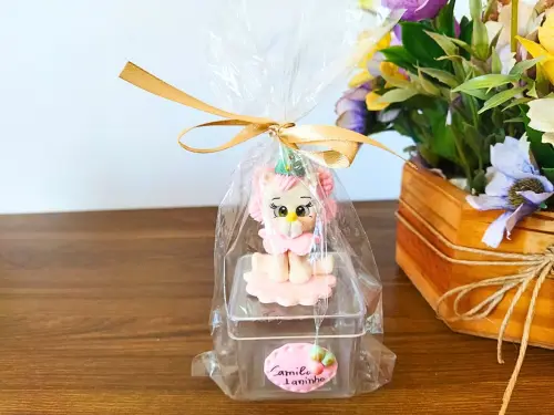 kit 10 caixinhas luxo circo em biscuit com nome da criança