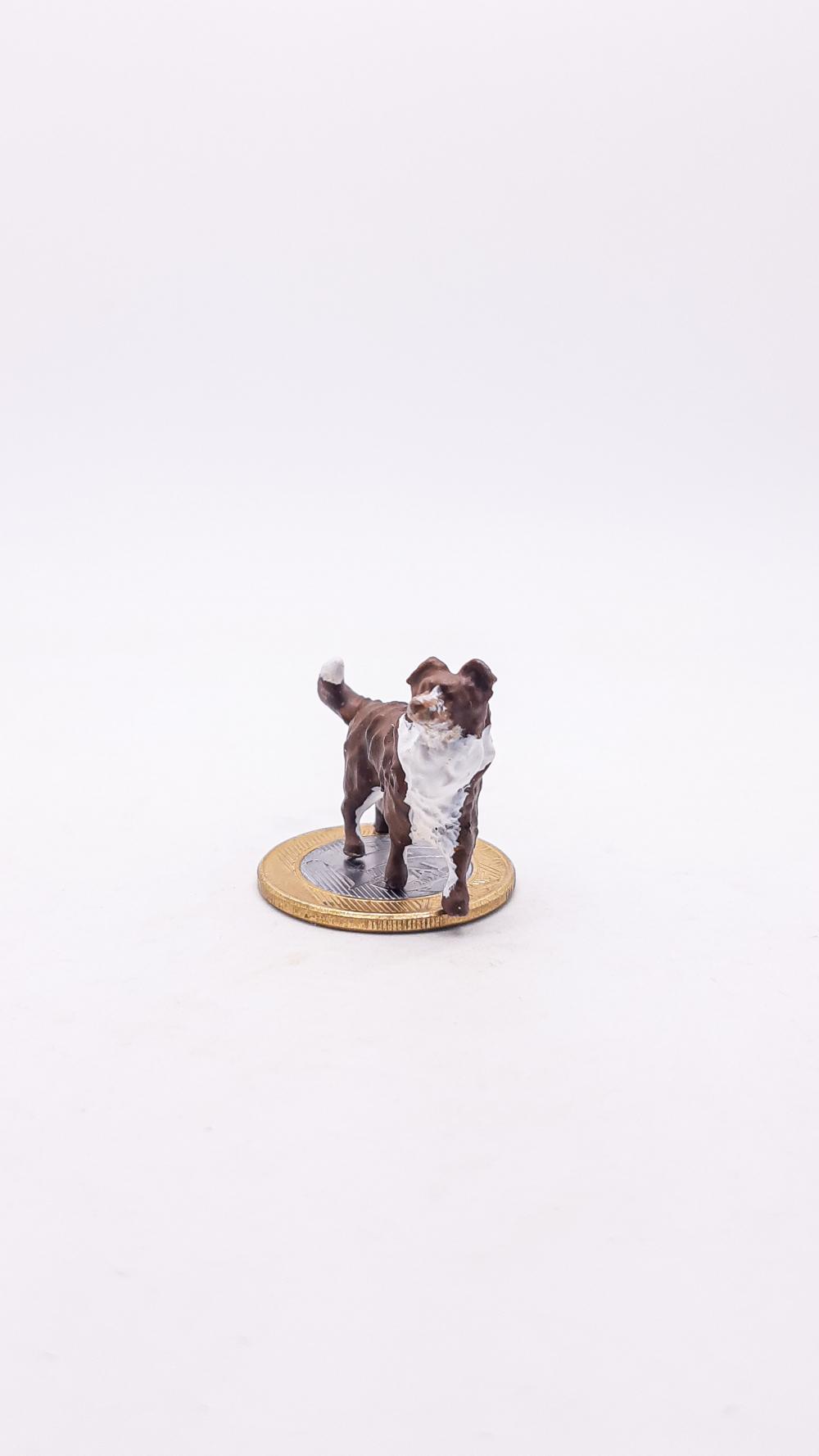 Border Collie Miniatura M302